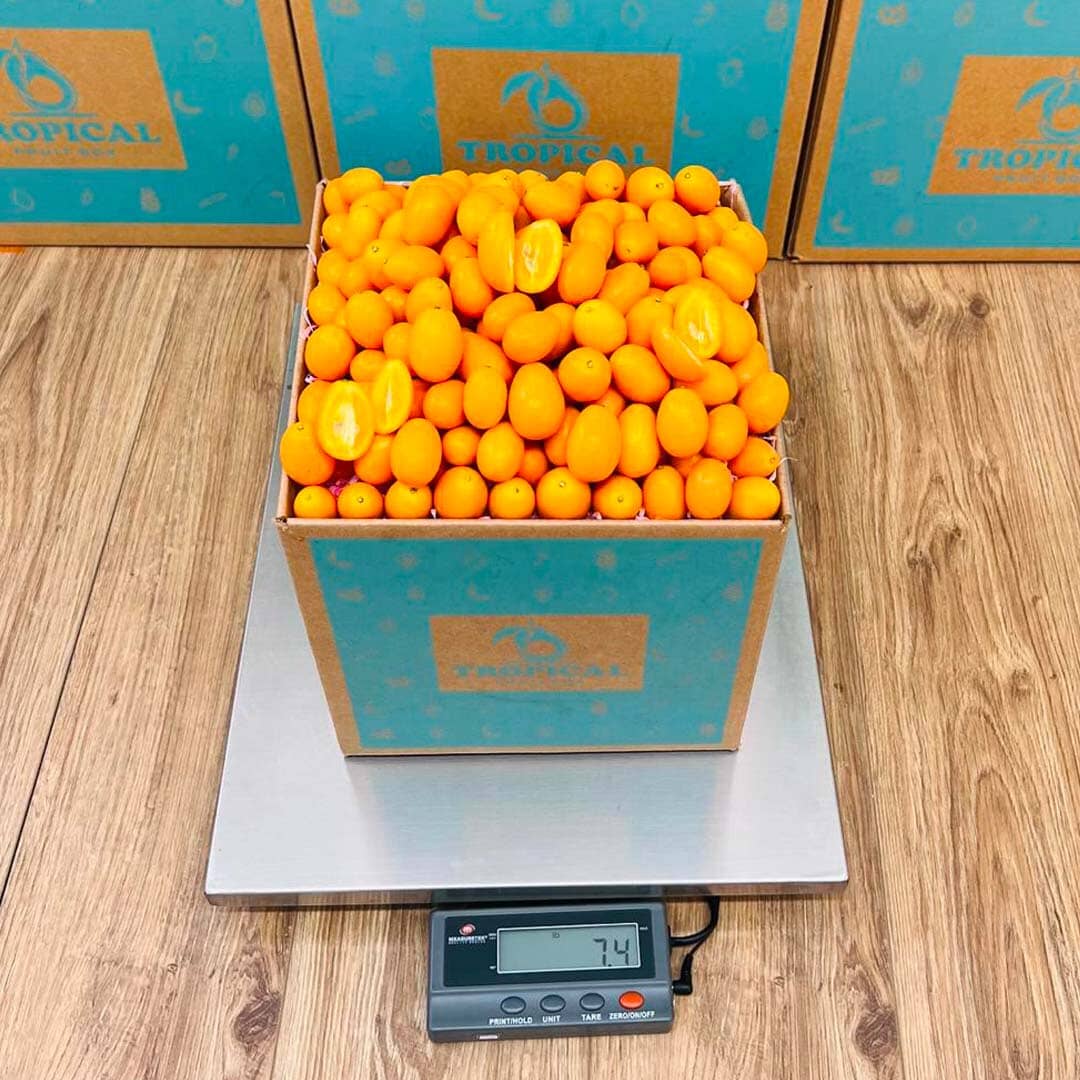 Kumquat 5 lbs