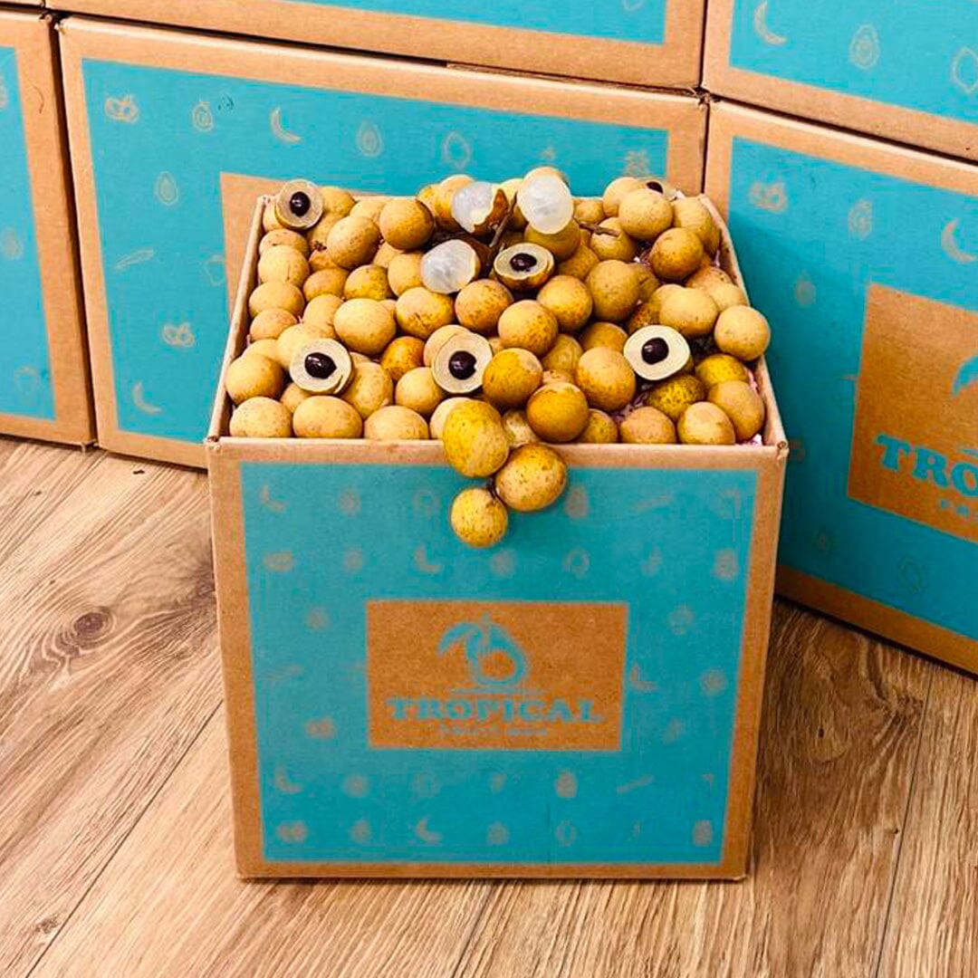 Longan / Dragon Eye Fruit Box GoogleON Tropical Fruit Box 