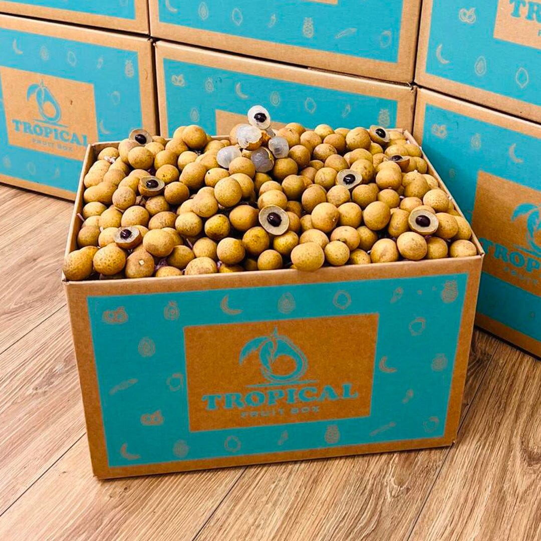 Longan / Dragon Eye Fruit Box GoogleON Tropical Fruit Box 