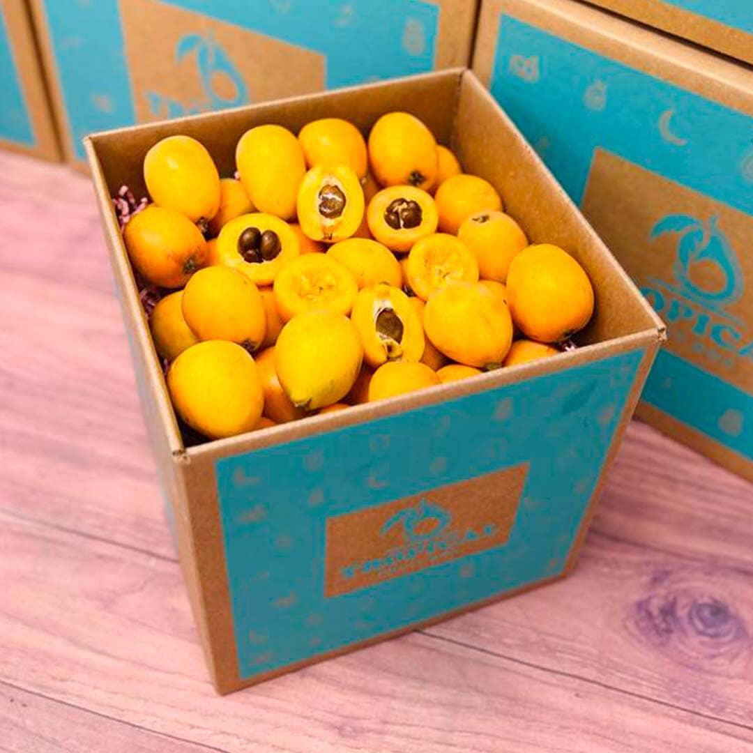 Fresh Loquat Fruit Box Specialty Box Tropical Fruit Box 