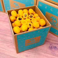 Thumbnail for Fresh Loquat Fruit Box Specialty Box Tropical Fruit Box 