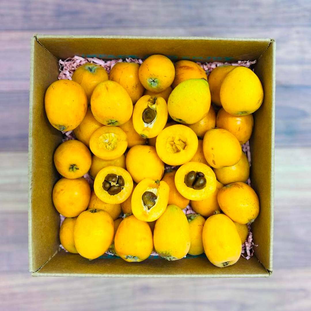 Fresh Loquat Fruit Box Specialty Box Tropical Fruit Box Regular (5lbs) 