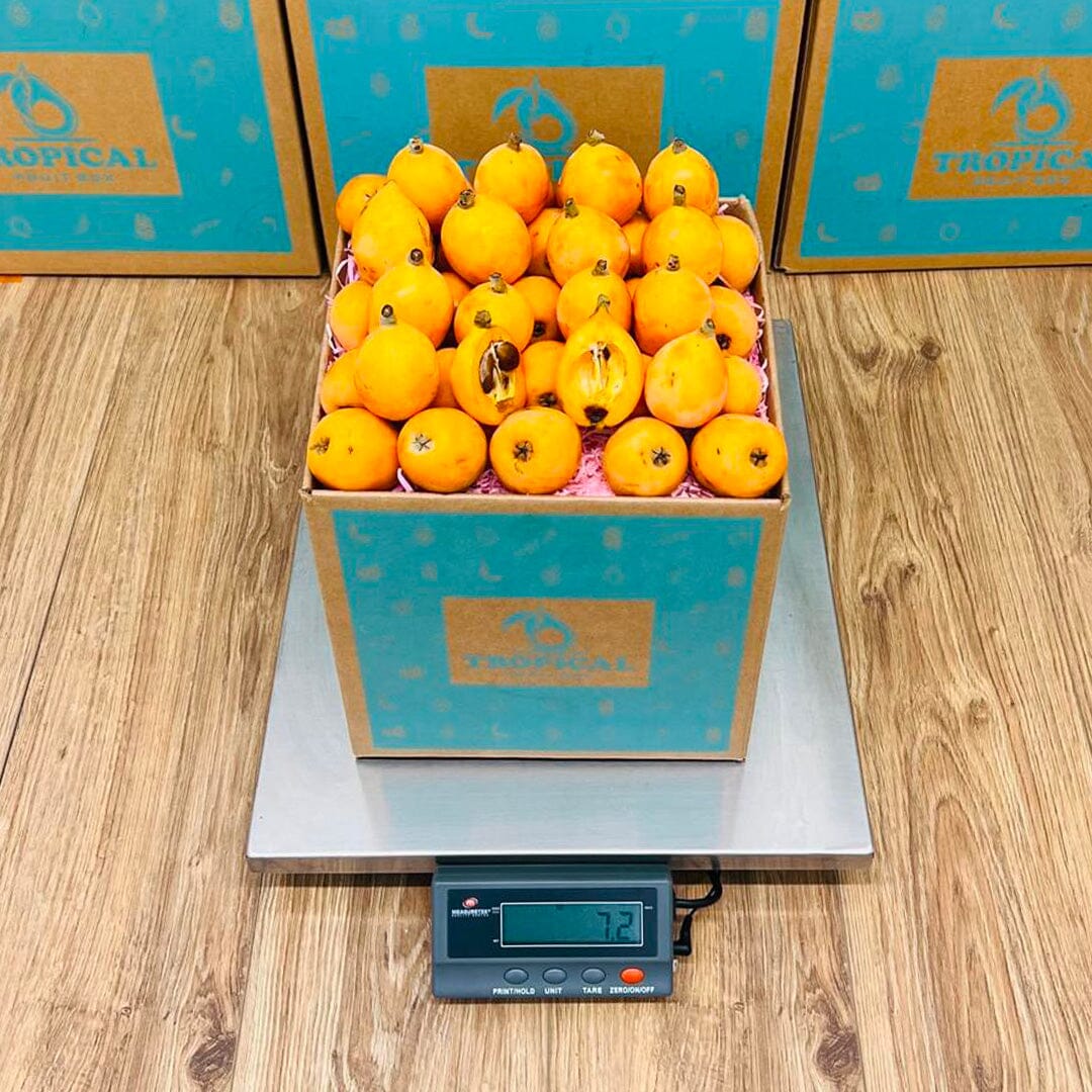 Fresh Loquat Fruit Box Specialty Box Tropical Fruit Box 