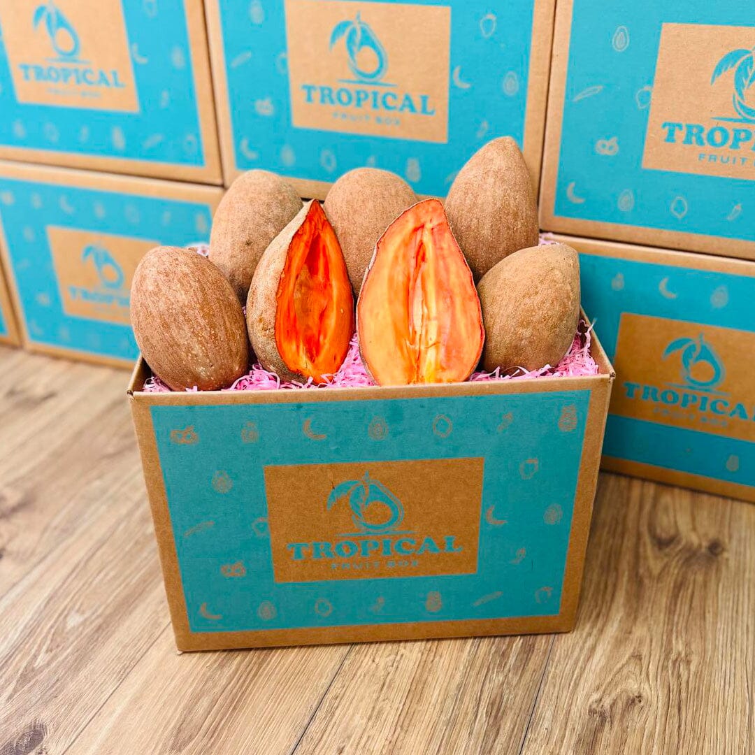 Mamey Fruit Box Shipped Directly to you - Large (12 Pounds) - Tropical ...