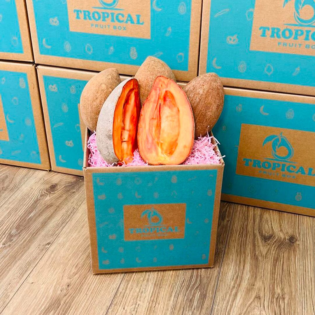 Mamey Fruit Box Shipped Directly to you - Regular (8 Pounds) - Tropical