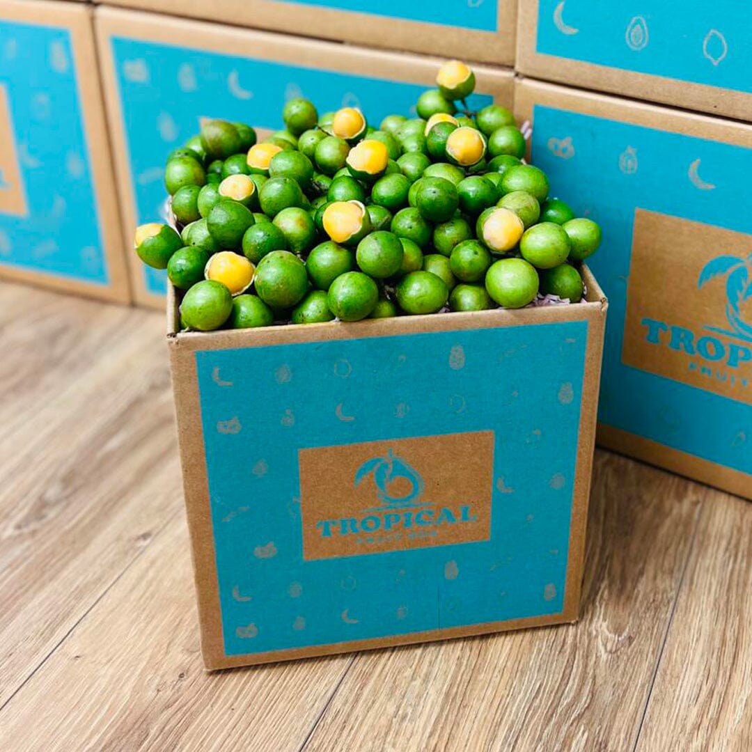 Spanish Limes | Mamoncillos | Quenepas | Guineps Box GoogleON Tropical Fruit Box 