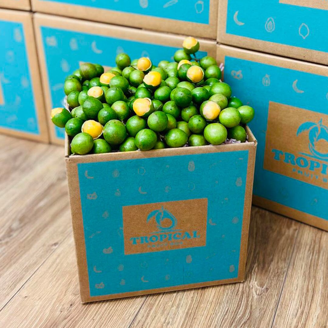 Spanish Limes | Mamoncillos | Quenepas | Guineps Box GoogleON Tropical Fruit Box 