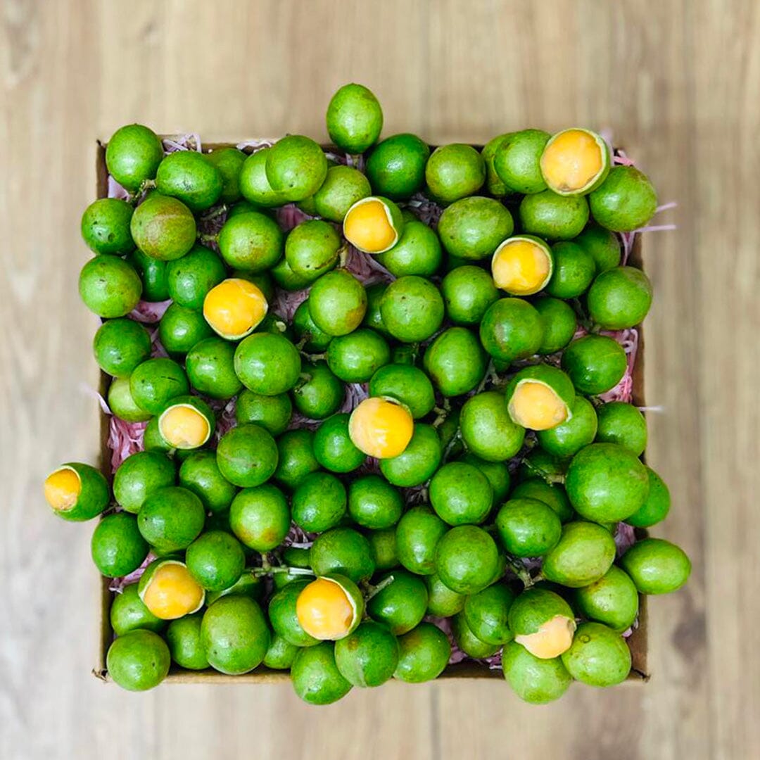 Spanish Limes | Mamoncillos | Quenepas | Guineps Box GoogleON Tropical Fruit Box Regular (5 Pounds) 