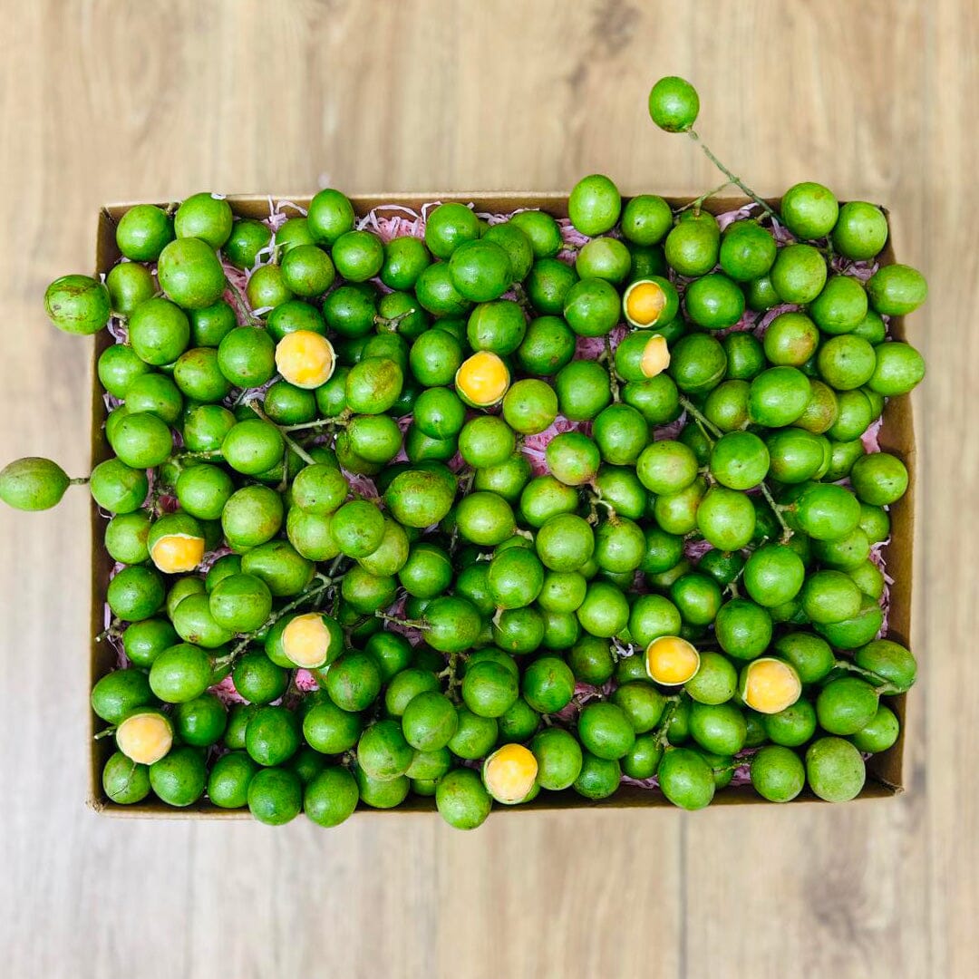 Spanish Limes | Mamoncillos | Quenepas | Guineps Box GoogleON Tropical Fruit Box Large (8 Pounds) 