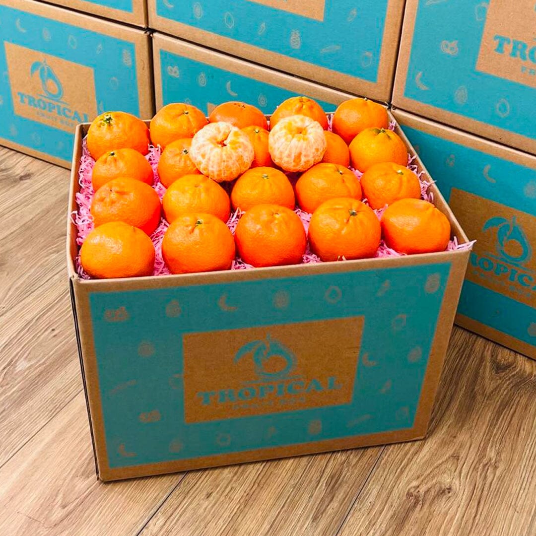 Mandarin Box Produce Box Tropical Fruit Box Large (8 Pounds) 