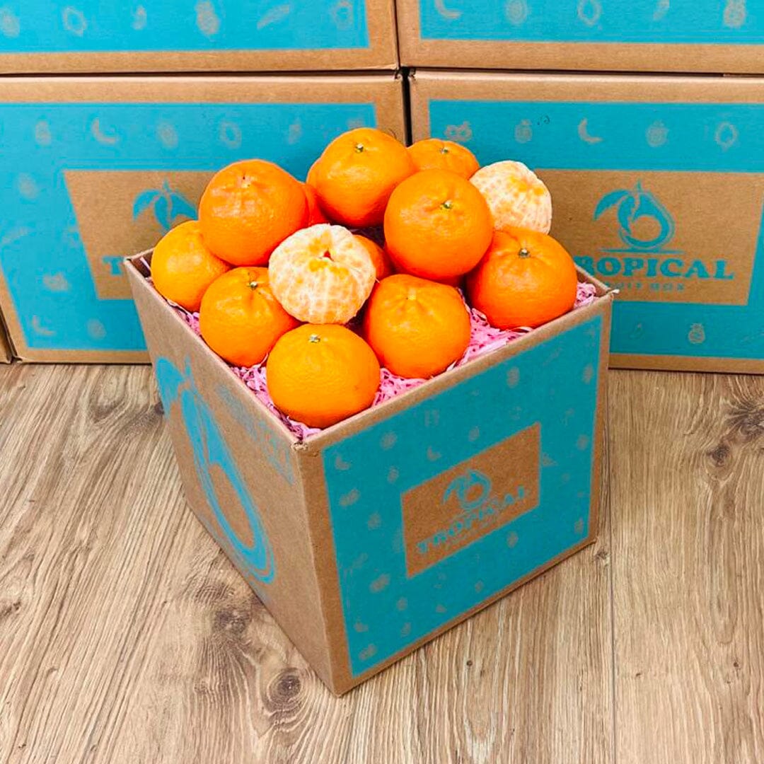 Mandarin Box Produce Box Tropical Fruit Box Regular (5 Pounds) 