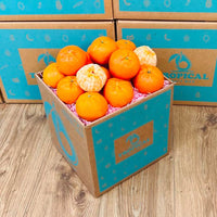 Thumbnail for Mandarin Box Produce Box Tropical Fruit Box Regular (5 Pounds) 