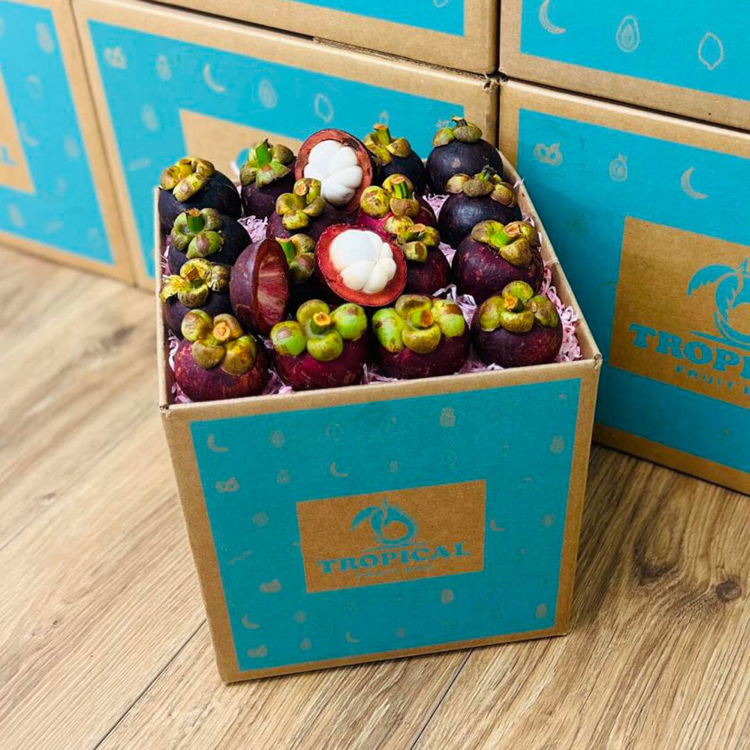 Purple Mangosteen Fruit Box GoogleON Tropical Fruit Box 