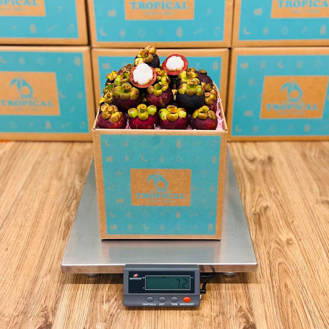 Purple Mangosteen Fruit Box GoogleON Tropical Fruit Box 