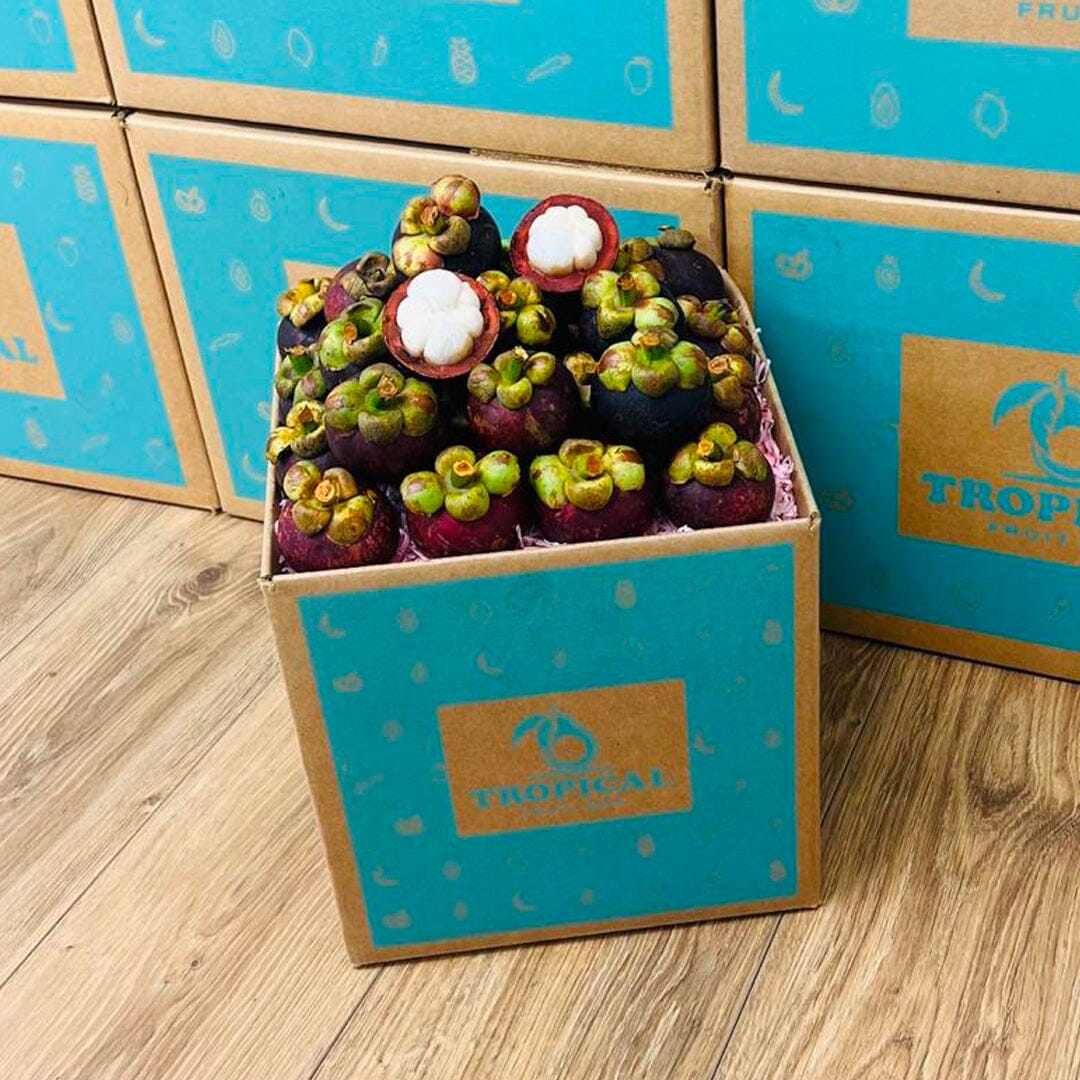 Purple Mangosteen Fruit Box GoogleON Tropical Fruit Box 