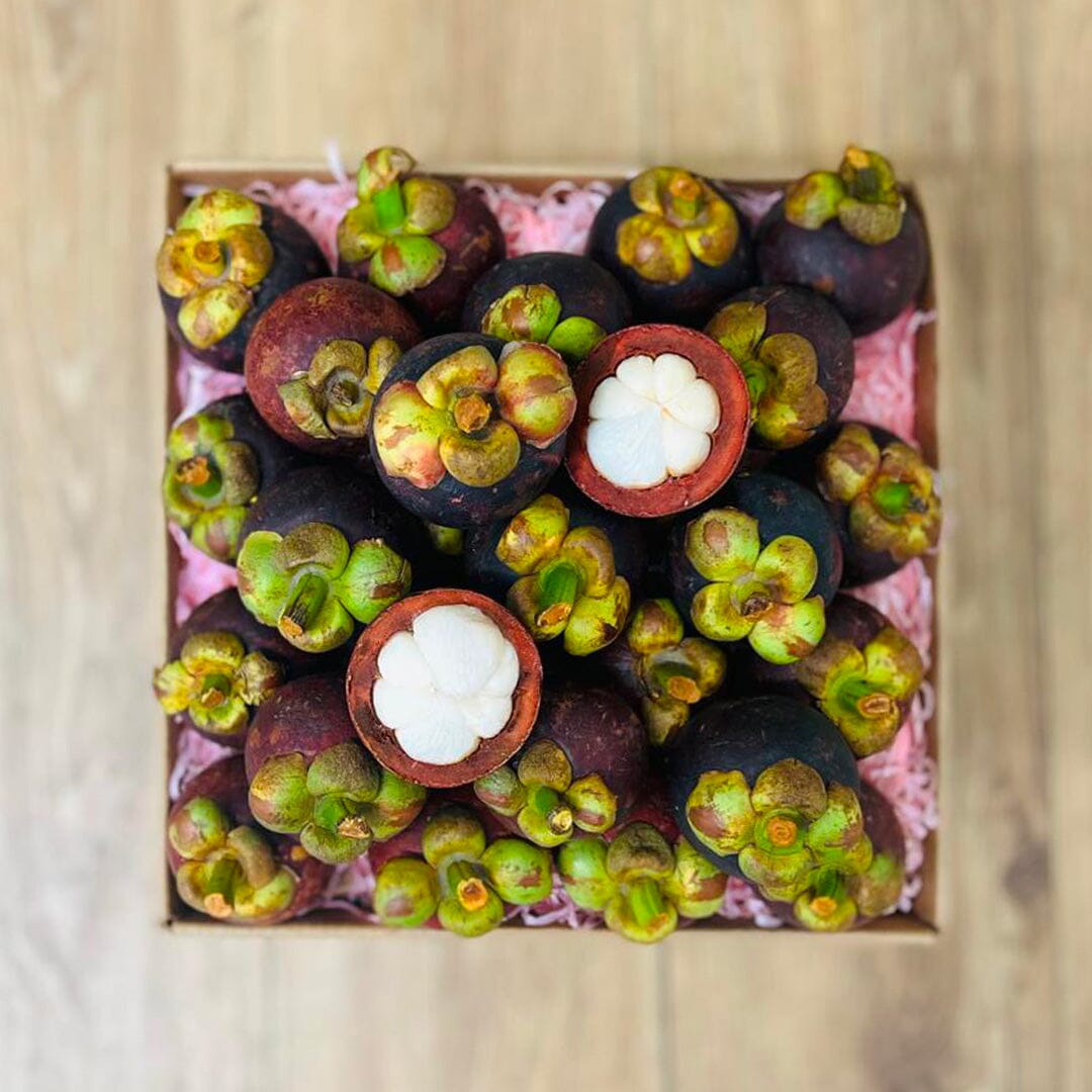 Purple Mangosteen Fruit Box GoogleON Tropical Fruit Box 