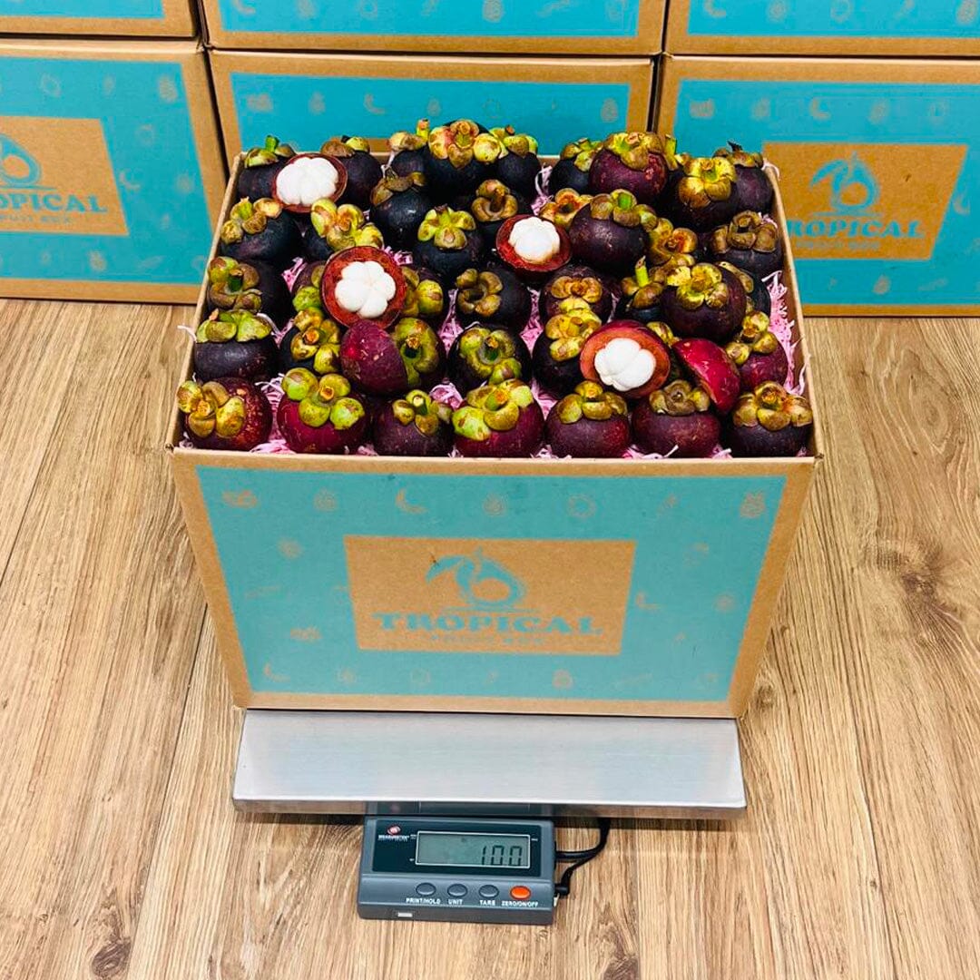 Purple Mangosteen Fruit Box GoogleON Tropical Fruit Box 