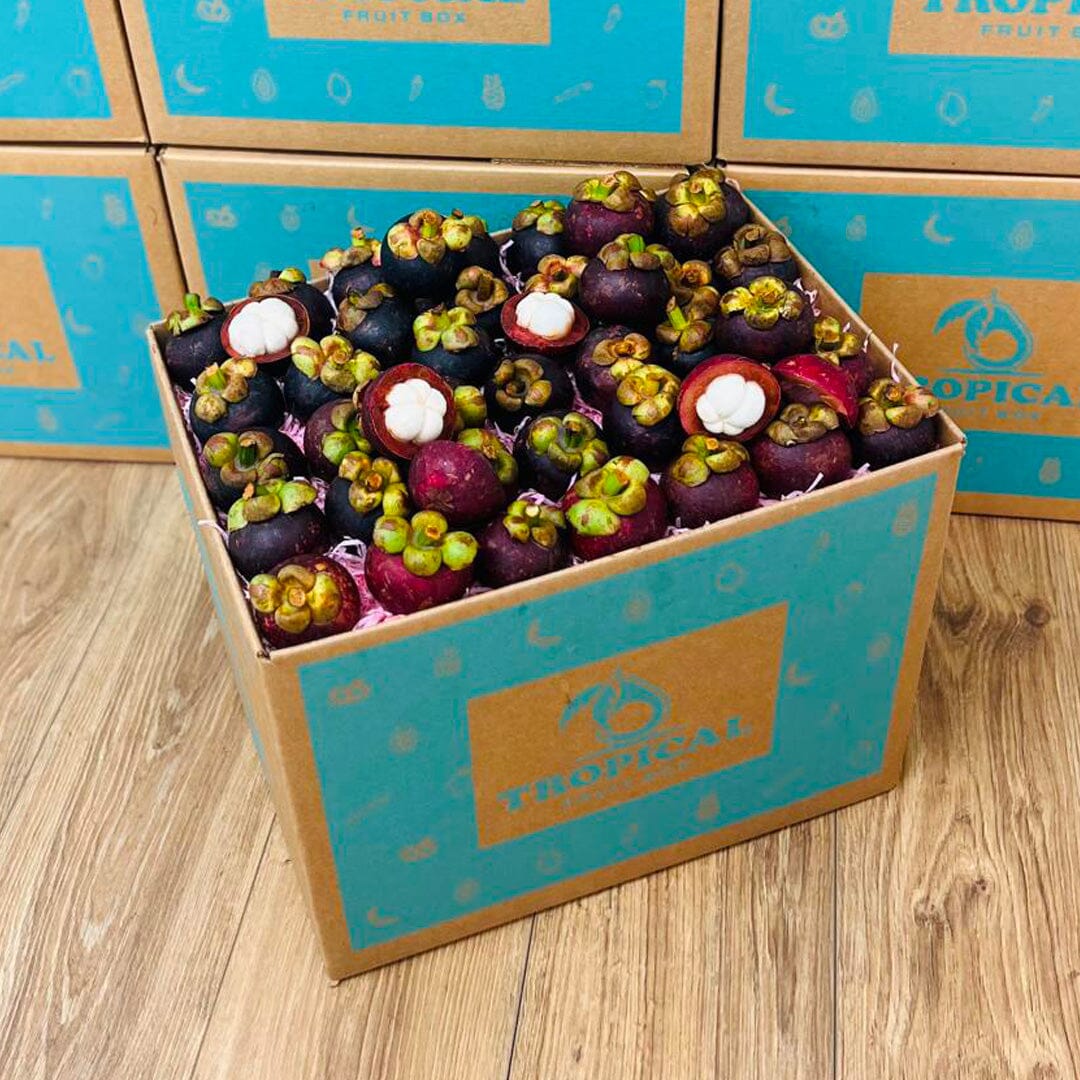 Purple Mangosteen Fruit Box GoogleON Tropical Fruit Box 