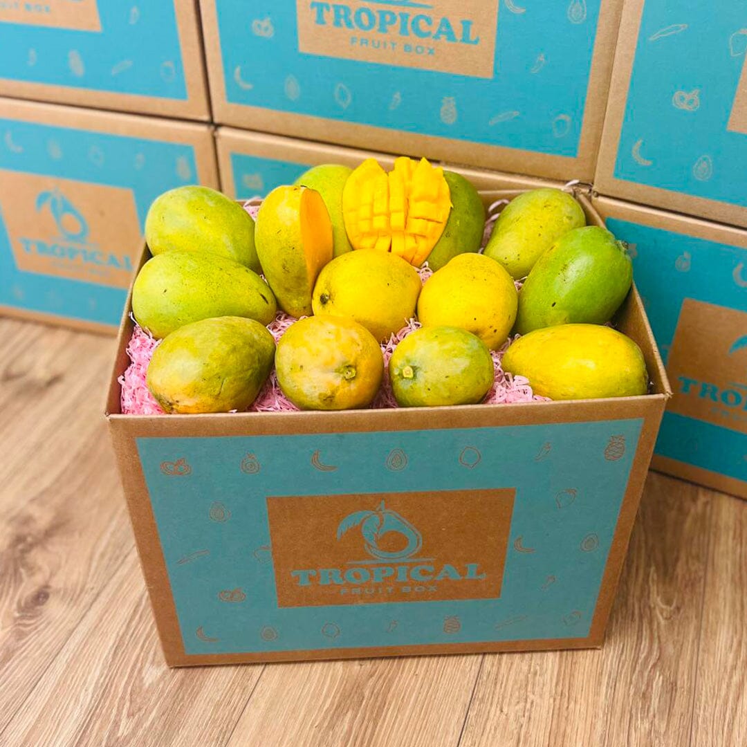 Mingolo Mango Box - Medium (8 Pounds) - Tropical Fruit Box