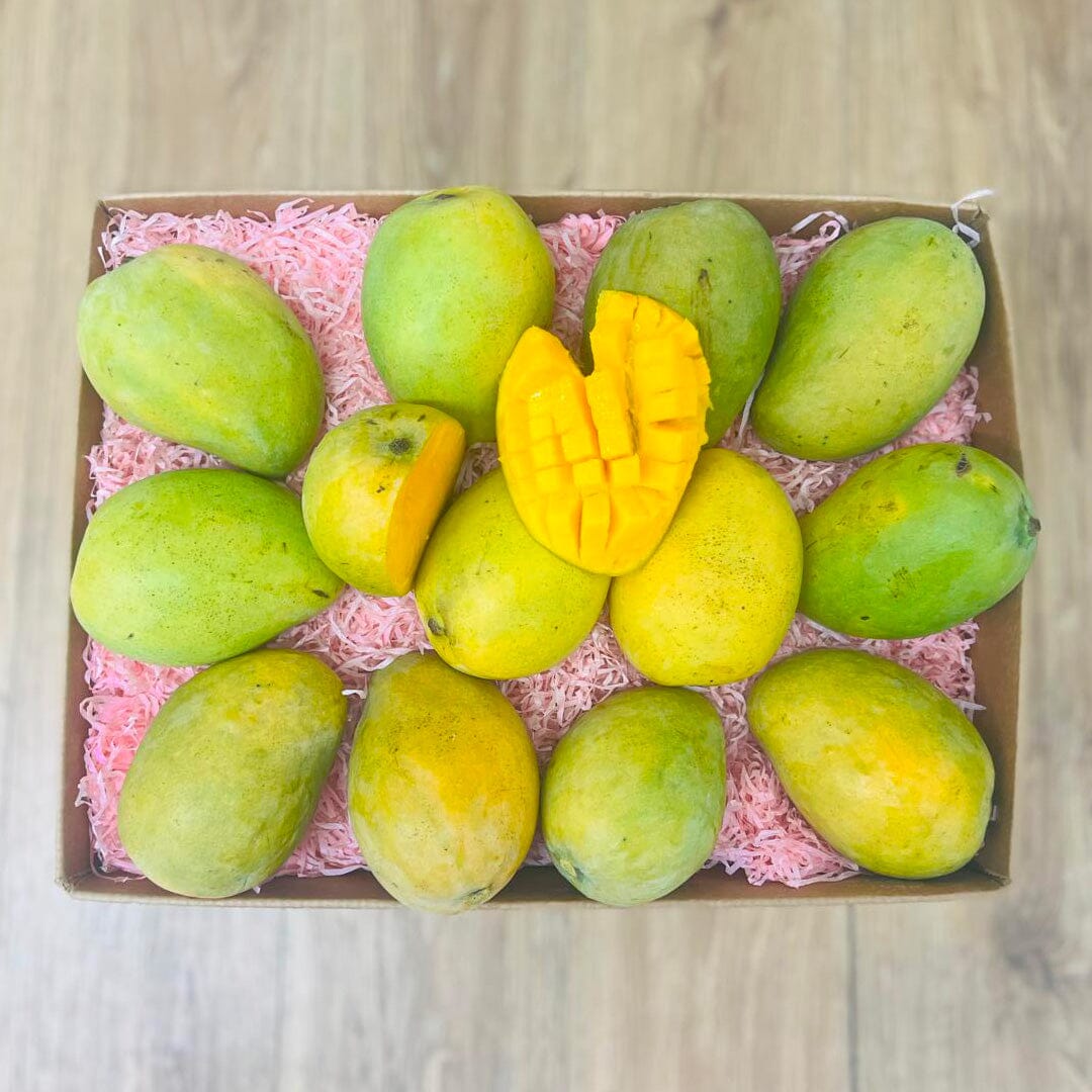 Mingolo Mango Box Mangoes Tropical Fruit Box Large (12 Pounds) 