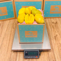 Thumbnail for Mingolo Mango Box Mangoes Tropical Fruit Box 