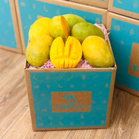 Mingolo Mango Box - Medium (8 Pounds) - Tropical Fruit Box