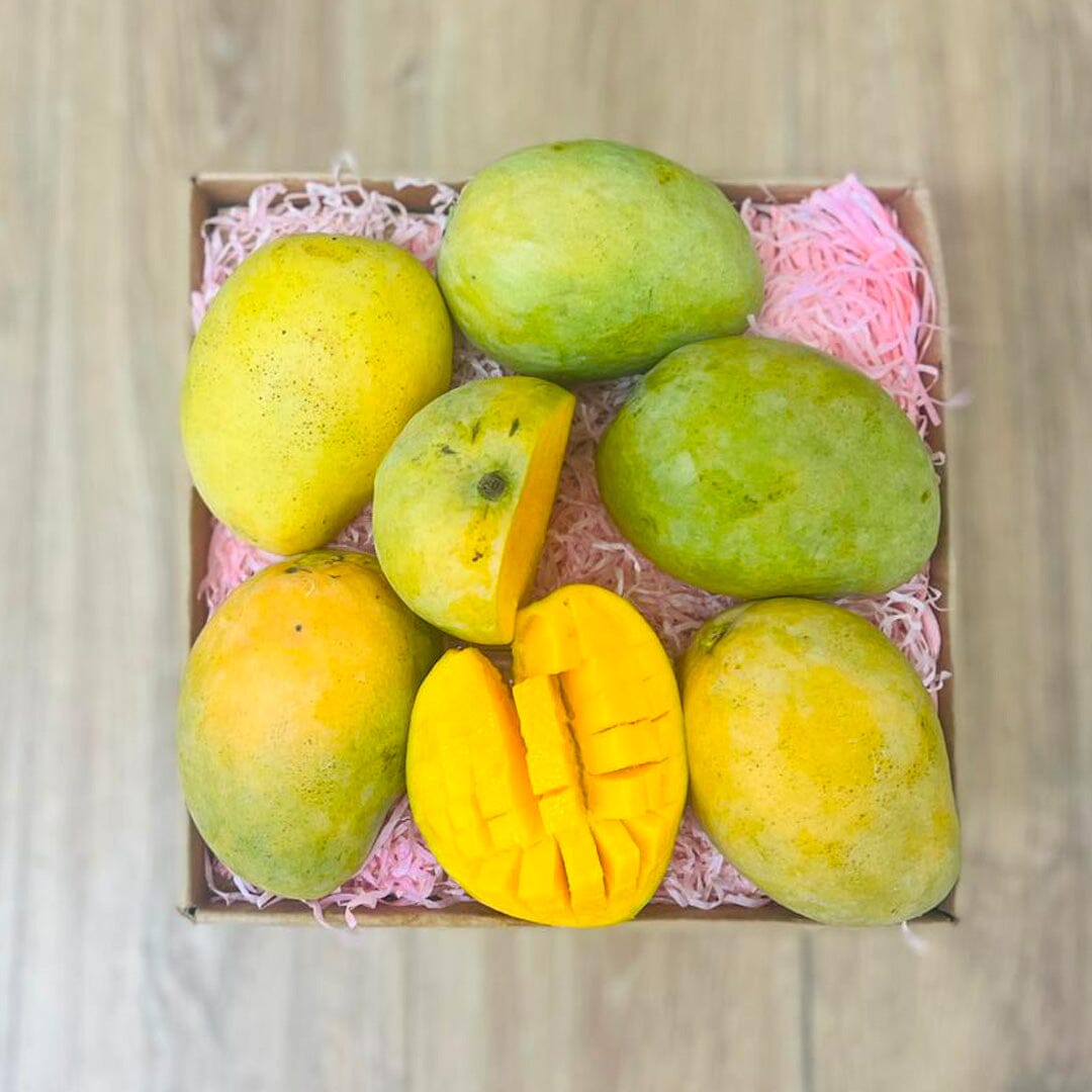 Mingolo Mango Box - Medium (8 Pounds) - Tropical Fruit Box