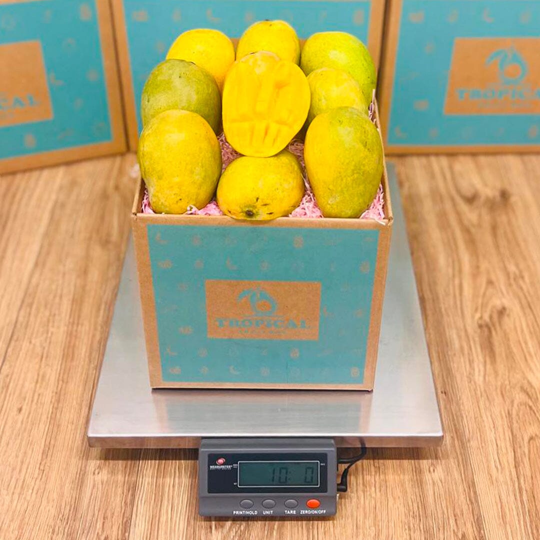 Mingolo Mango Box - Medium (8 Pounds) - Tropical Fruit Box
