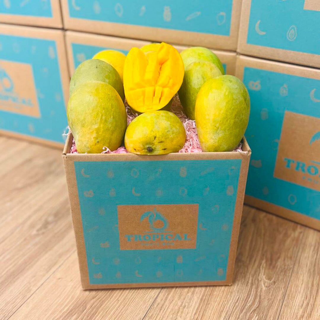 Mingolo Mango Box - Medium (8 Pounds) - Tropical Fruit Box