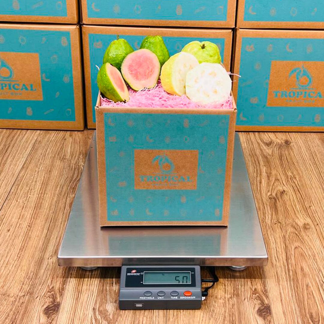 Guva Box Mixed Pink & White Guava Box - Small (3 Pounds)