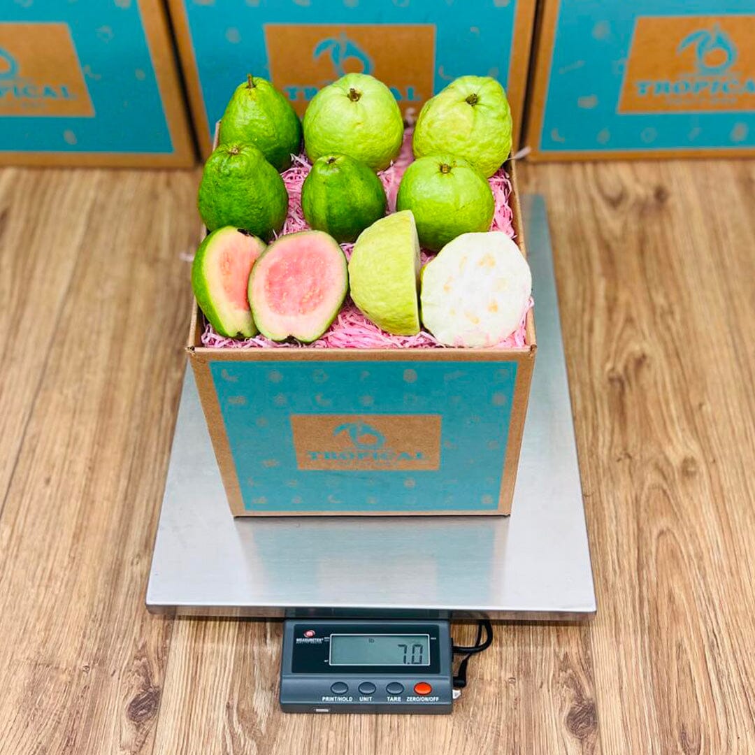 Guva Box Mixed Pink & White Guava Box - Small (3 Pounds)