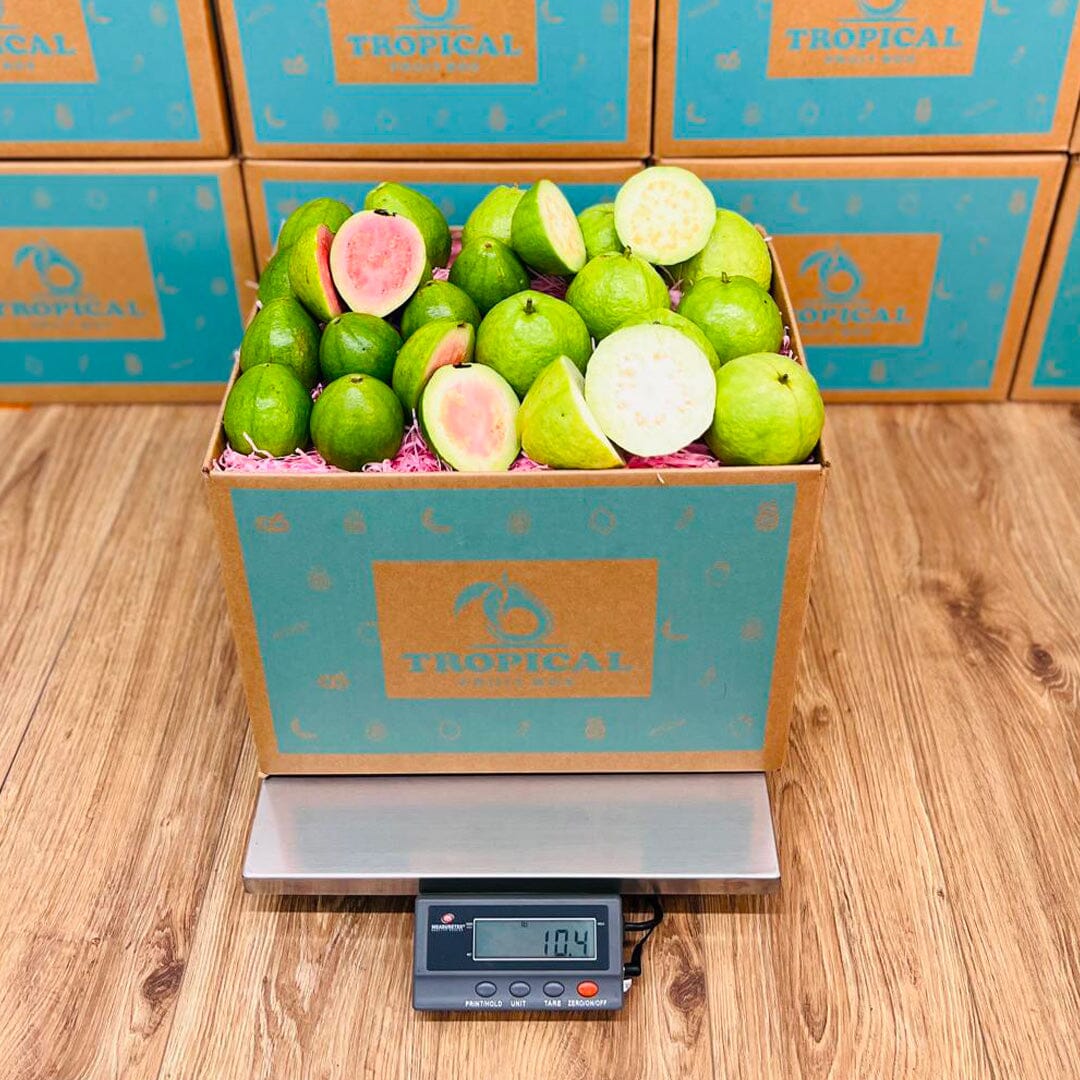 Guva Box Mixed Pink & White Guava Box - Small (3 Pounds)