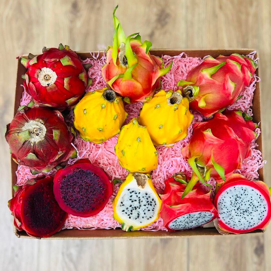 Dragon Fruit | Pitahaya Mix Box Dragon Fruit Tropical Fruit Box Large (10 Pounds) 