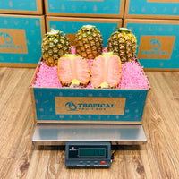 Thumbnail for PinkGlow® Pink Pineapple Quartet Box Specialty Box Tropical Fruit Box 