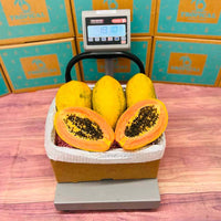Thumbnail for Tropical Fresh Papaya Box Produce Box Tropical Fruit Box 