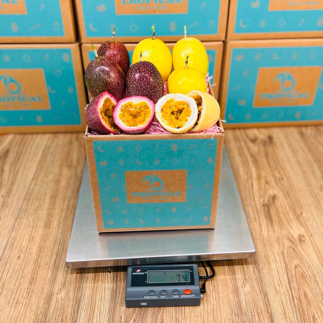 Passion Fruit Box GoogleON Tropical Fruit Box 