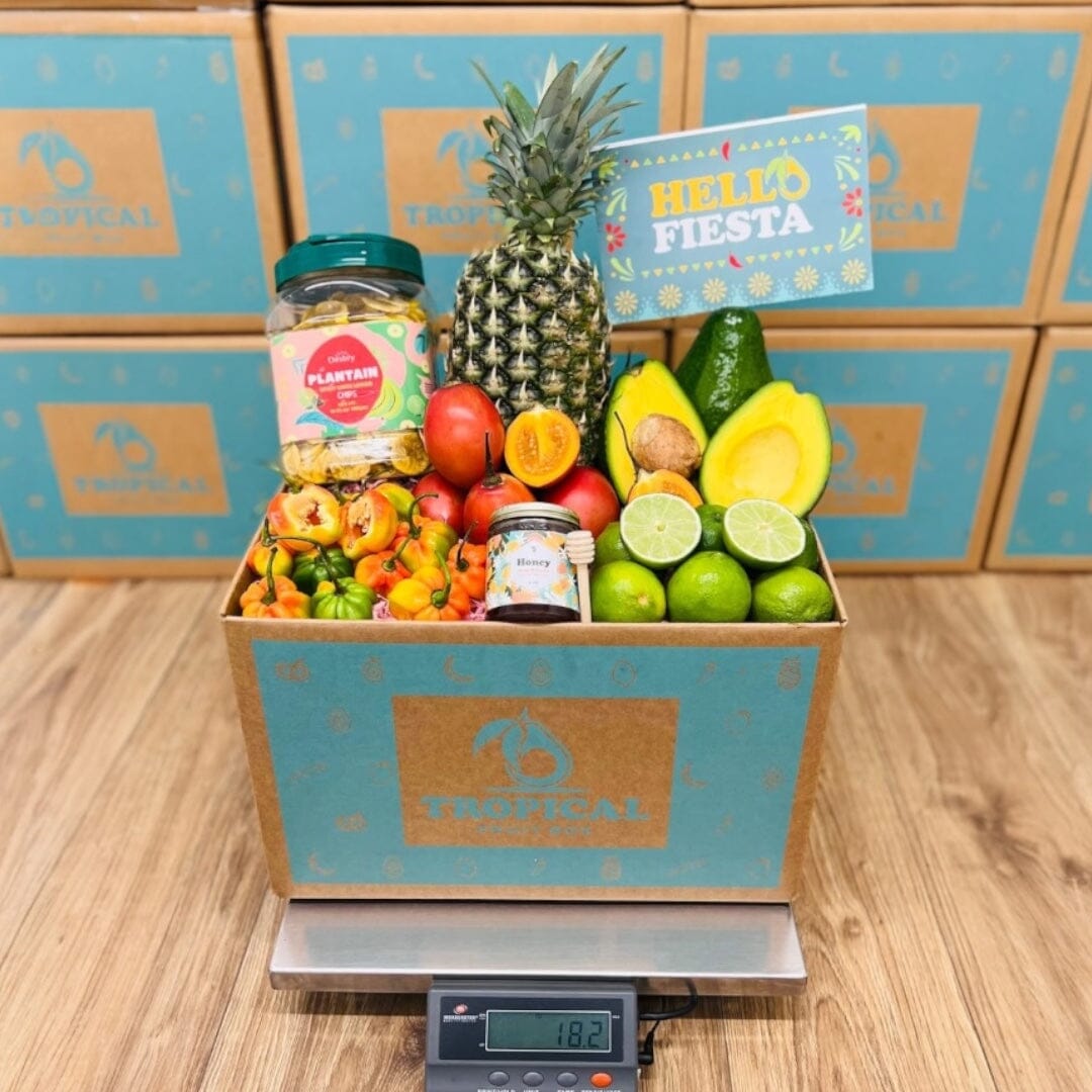 Tropical Fiesta Box GoogleON Tropical Fruit Box 