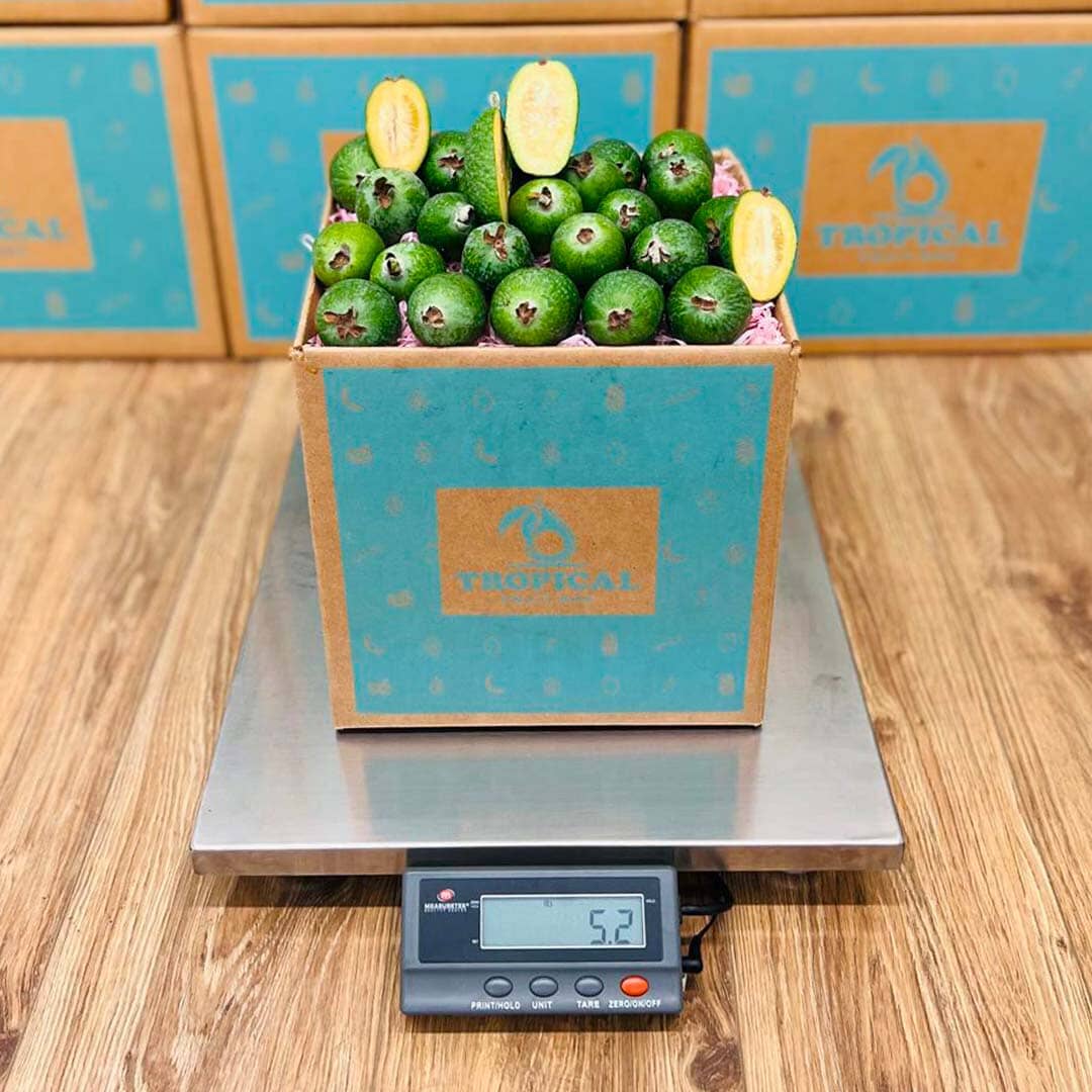 Guva Box Feijoa Pineapple Guava Box - Small Box (3lbs)