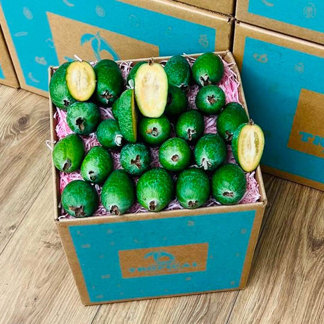 Feijoa Pineapple Guava Box GoogleON Tropical Fruit Box Small Box (3lbs) 