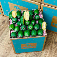 Thumbnail for Feijoa Pineapple Guava Box GoogleON Tropical Fruit Box Small Box (3lbs) 