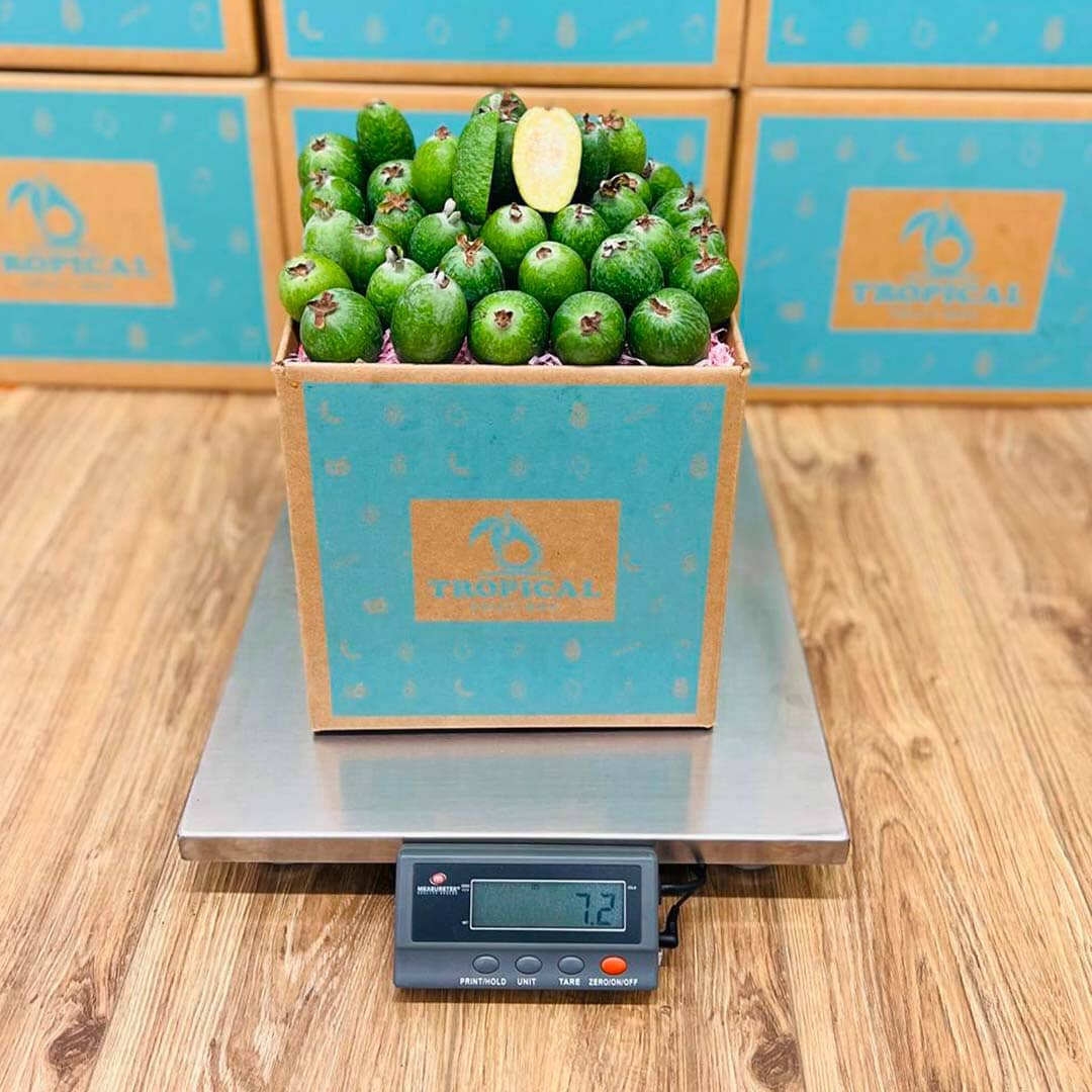 Guva Box Feijoa Pineapple Guava Box - Small Box (3lbs)