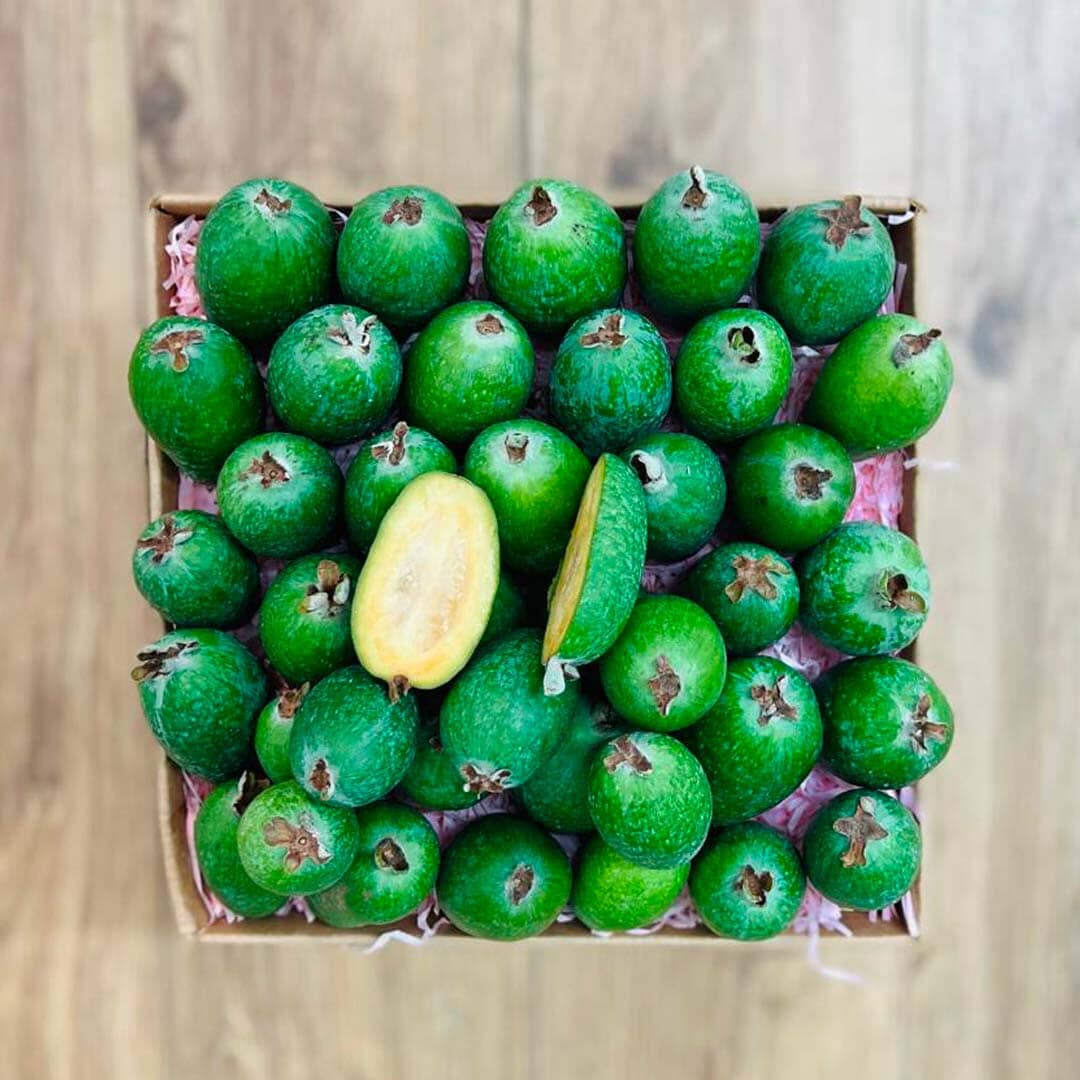 Feijoa Pineapple Guava Box GoogleON Tropical Fruit Box 