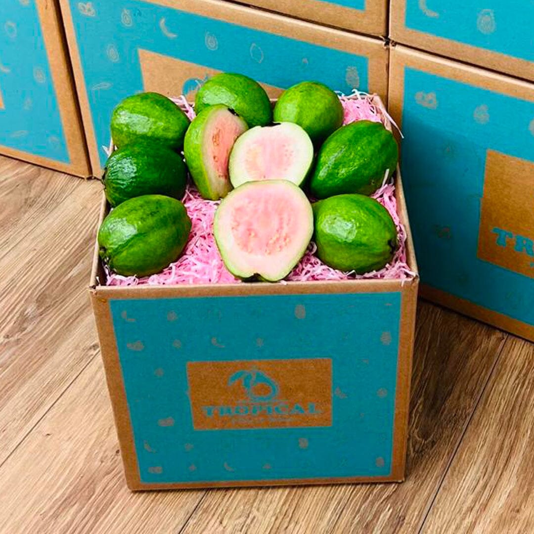 Guva Box Pink Guava - Order Fresh & Delivered | Tropical Fruit Box - Small (3 ...