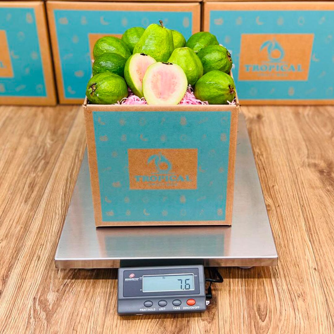 Guva Box Pink Guava - Order Fresh & Delivered | Tropical Fruit Box - Small (3 ...