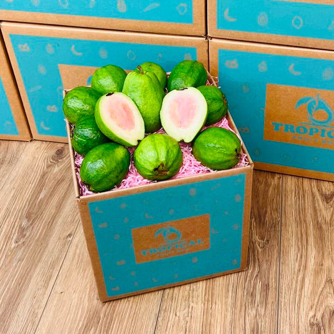 Pink Guava Box No Google Tropical Fruit Box Regular Box (5 Pounds) 