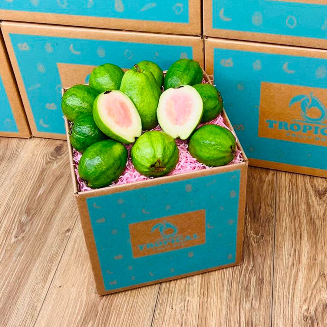 Guva Box Pink Guava - Order Fresh & Delivered | Tropical Fruit Box - Small (3 ...