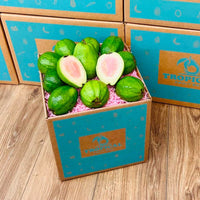 Thumbnail for Pink Guava Box No Google Tropical Fruit Box Regular Box (5 Pounds) 