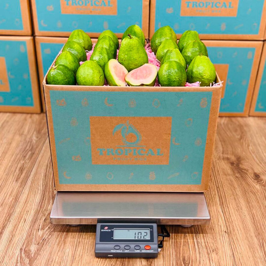 Guva Box Pink Guava - Order Fresh & Delivered | Tropical Fruit Box - Small (3 ...