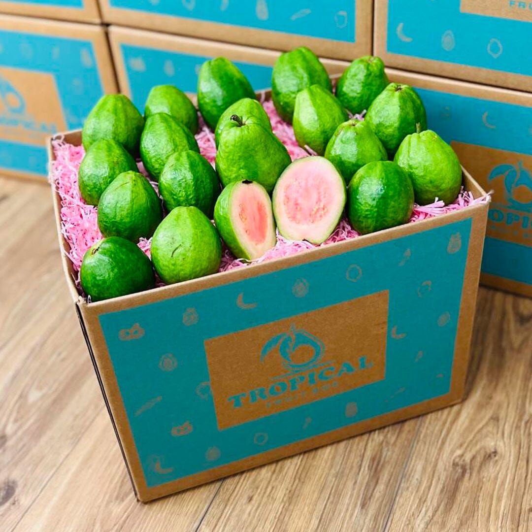 Guva Box Pink Guava - Order Fresh & Delivered | Tropical Fruit Box - Small (3 ...