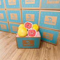 Thumbnail for Pomelo Box Produce Box Tropical Fruit Box 